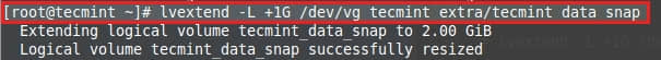 Extend LVM Snapshot