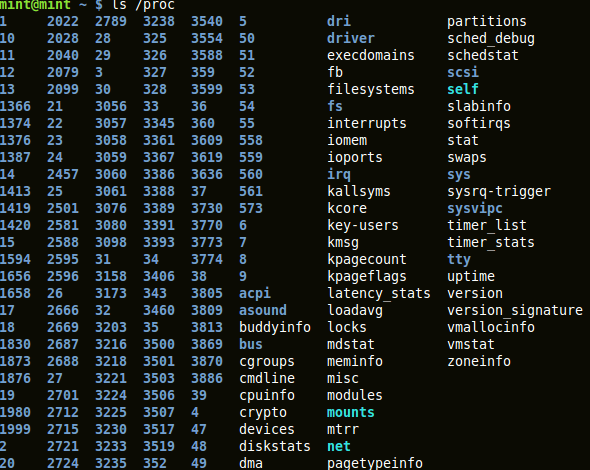 output of ’ls /proc’