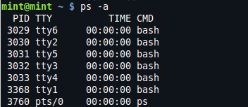 Output of “ps -a” command