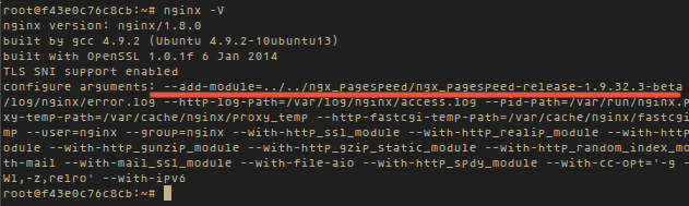 nginx -V