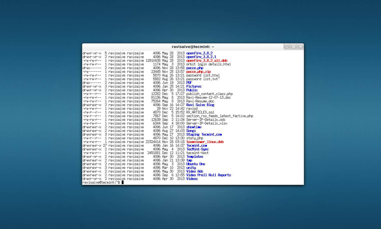 wterm Terminal