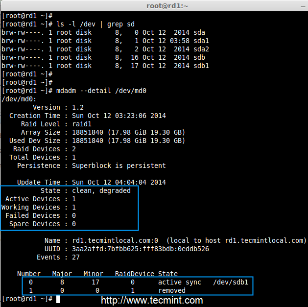 Test RAID Devices