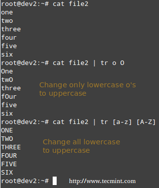 Translate Characters in Linux