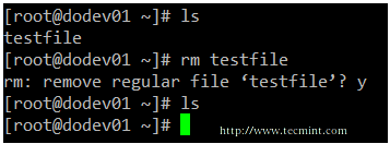 Linux rm command examples