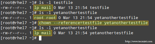 Clone File Ownership