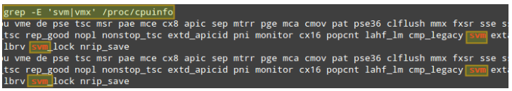 检查 KVM 支持