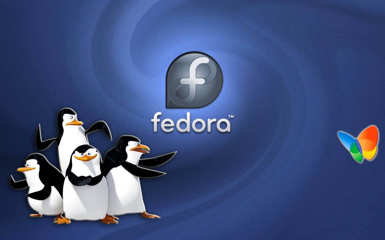 Fedora