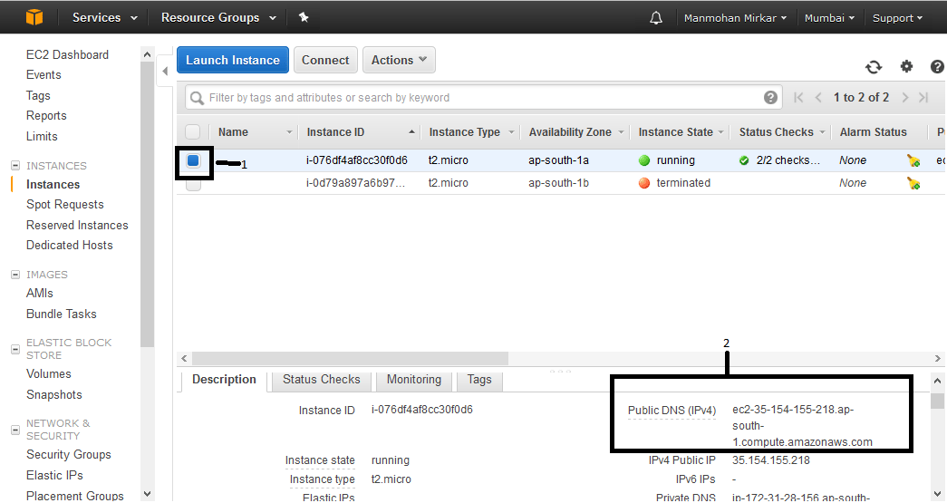 Public DNS value of the VM