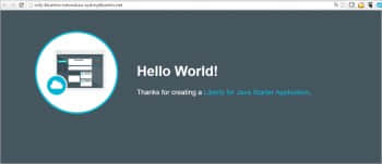 图9 IBM Bluemix Java应用程序