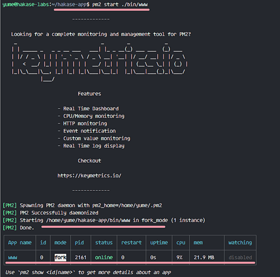 使用 pm2 运行 nodejs app