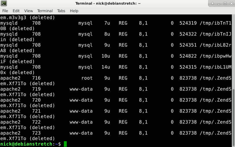 Check processes for deleted files