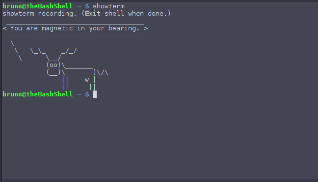 showterm terminal