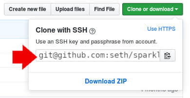 Cloning a URL on GitHub