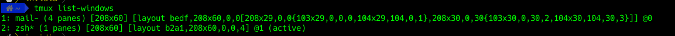 tmux layout information